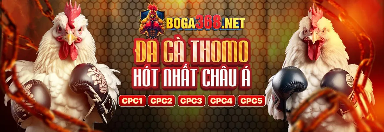 Hình ảnh chính hướng dẫn cá cược an toàn abc29